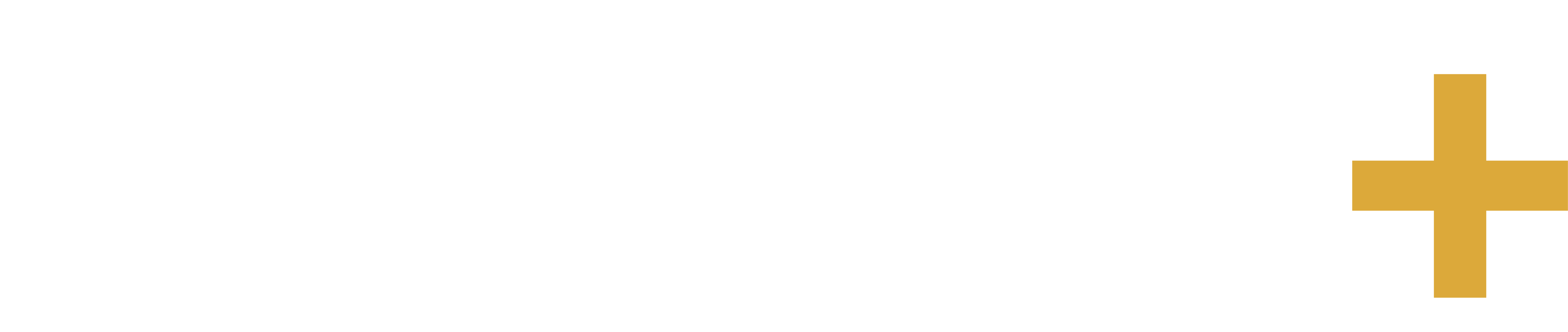 Talent-PLus-Logo-White